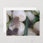 Carte Postale Oignons de marché des agriculteurs (Devant / Derrière)