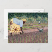 Carte Postale Oignons de plantation 2005 (Devant / Derrière)