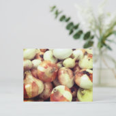 Carte postale Oignons doux (Debout devant)