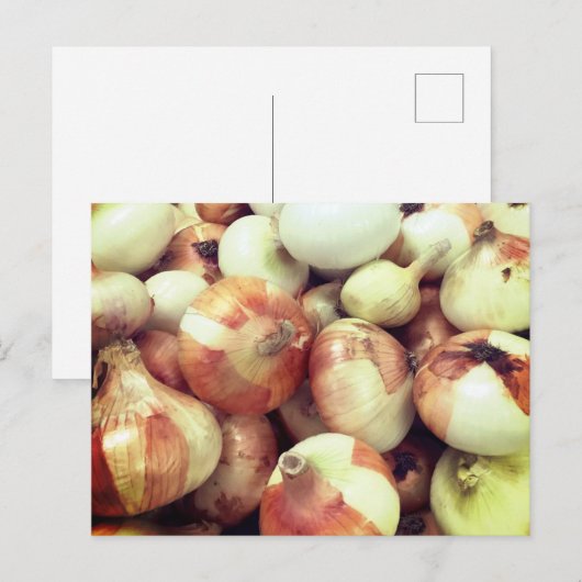 Carte postale Oignons doux (Devant / Derrière)