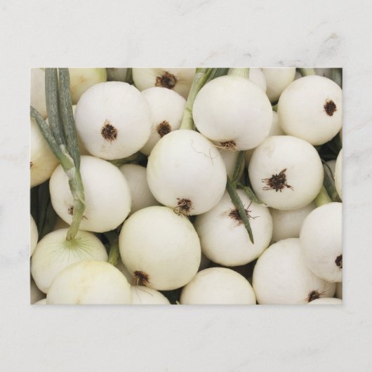Carte Postale Oignons doux Walla Walla (Devant)