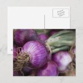 Carte Postale Oignons rouges frais dans un fermier du New Jersey (Devant / Derrière)