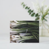 Carte Postale Oignons verts (Debout devant)