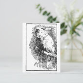 Carte Postale Oiseau (Debout devant)