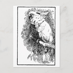 Carte Postale Oiseau