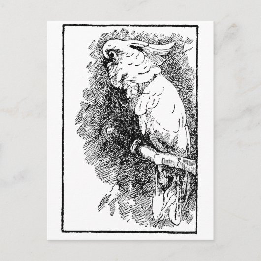 Carte Postale Oiseau (Devant)