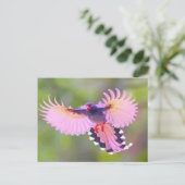 Carte Postale oiseau (Debout devant)