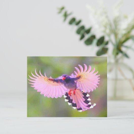 Carte Postale oiseau (Debout devant)