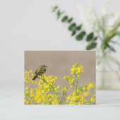 Carte Postale Oiseau (Debout devant)