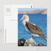 Carte Postale oiseau (Devant / Derrière)