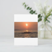 Carte Postale oiseau (Debout devant)