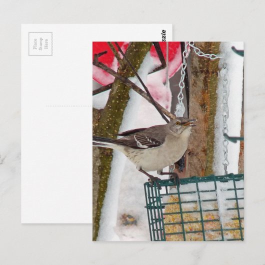 Carte Postale Oiseau (Devant / Derrière)