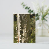 Carte Postale Oiseau (Debout devant)