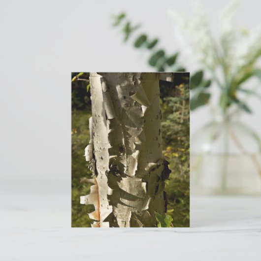 Carte Postale Oiseau (Debout devant)