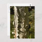 Carte Postale Oiseau (Devant / Derrière)