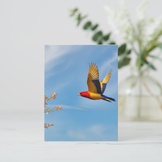 Carte postale oiseau (Debout devant)