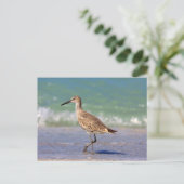 Carte Postale Oiseau (Debout devant)