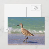 Carte Postale Oiseau (Devant / Derrière)