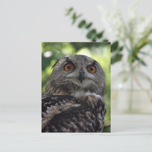 Carte Postale Oiseau (Debout devant)