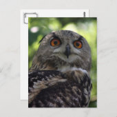 Carte Postale Oiseau (Devant / Derrière)