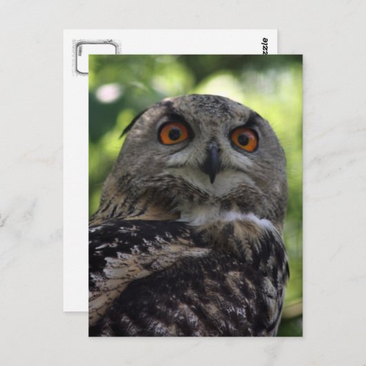 Carte Postale Oiseau (Devant / Derrière)