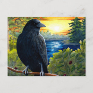 Carte Postale Oiseau 63 corneille