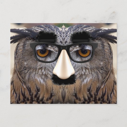 Carte Postale Oiseau à gros nez (Devant)