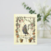 Carte Postale Oiseau à voile (Debout devant)