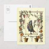 Carte Postale Oiseau à voile (Devant / Derrière)