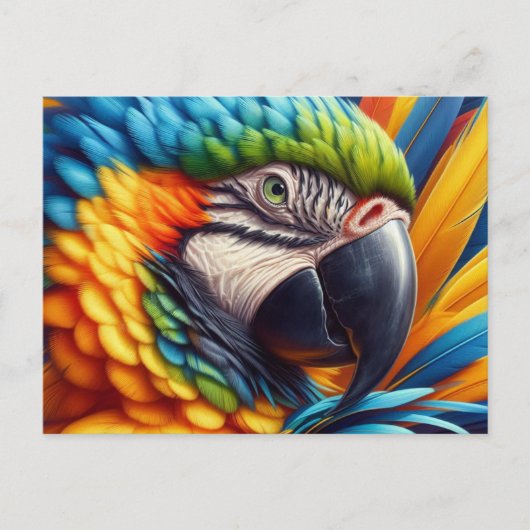 Carte Postale Oiseau Amant Macaw Parrot (Devant)