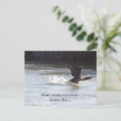 Carte postale Oiseau amusant (Debout devant)