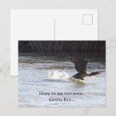 Carte postale Oiseau amusant (Devant / Derrière)