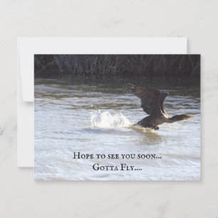 Carte postale Oiseau amusant