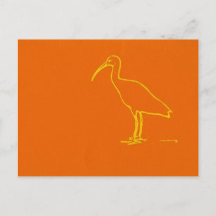Carte Postale Oiseau aquatique