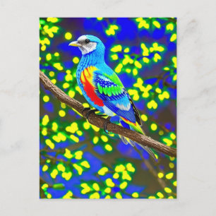 Carte postale Oiseau aux couleurs vives