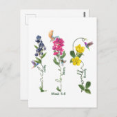 Carte Postale Oiseau Avec Fleur Justice Amour Miséricorde Et Mar (Devant / Derrière)