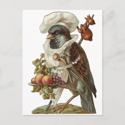 Carte Postale Oiseau avec nourriture et chef Casquette (Devant)