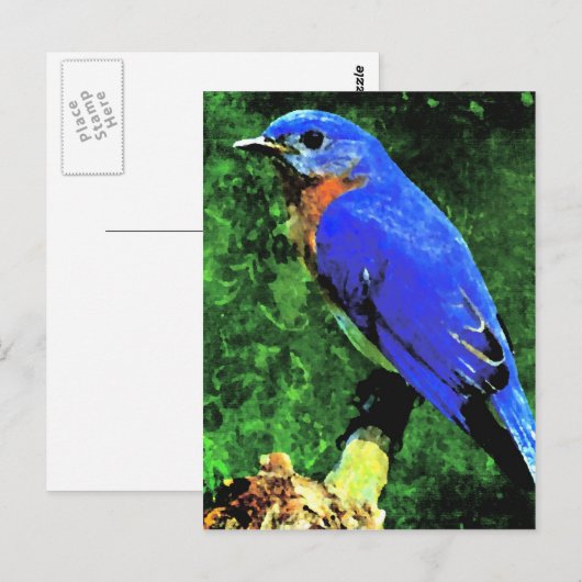 Carte Postale Oiseau bleu (Devant / Derrière)