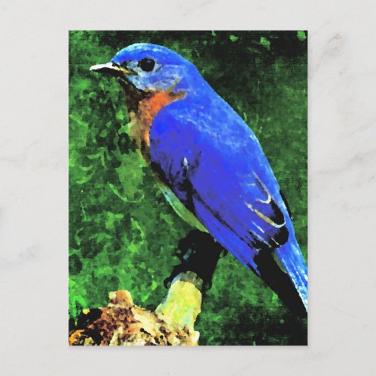 Carte Postale Oiseau bleu (Devant)