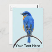 Carte Postale Oiseau bleu (Devant / Derrière)