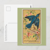 Carte Postale Oiseau bleu (Devant / Derrière)