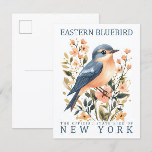 Carte Postale Oiseau bleu de l'Est de New York États-Unis