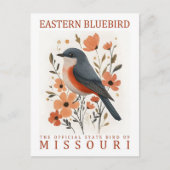 Carte Postale Oiseau bleu du Missouri USA Travel (Devant)
