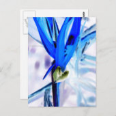 Carte Postale Oiseau bleu du Paradis (Devant / Derrière)