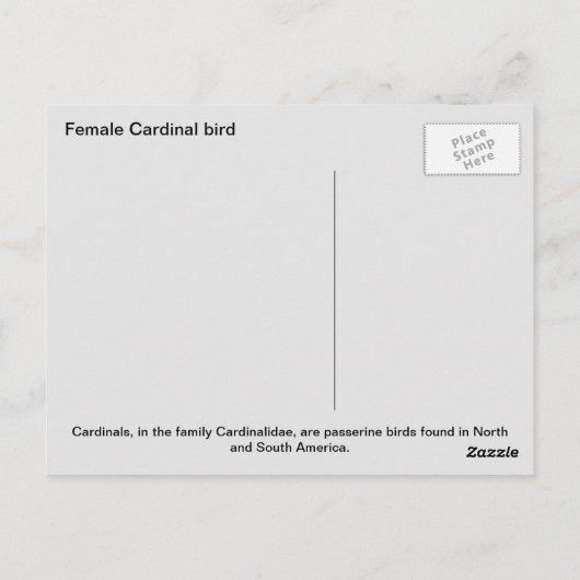 Carte Postale Oiseau cardinal (Dos)