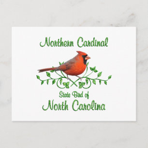 Carte Postale Oiseau Cardinal de Caroline du Nord