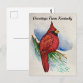 Carte Postale Oiseau cardinal de l'État du Kentucky couleur de l (Devant / Derrière)