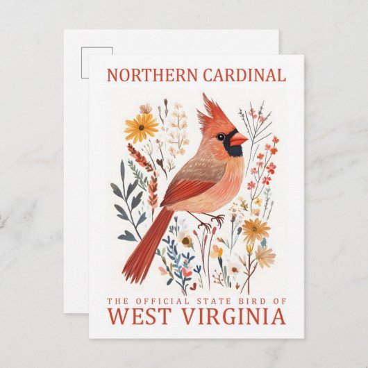 Carte Postale Oiseau cardinal du nord de la Virginie-Occidentale (Devant / Derrière)