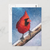 CARTE POSTALE OISEAU : CARDINAL : NEIGE : HUILE PASTEL ART (Devant / Derrière)