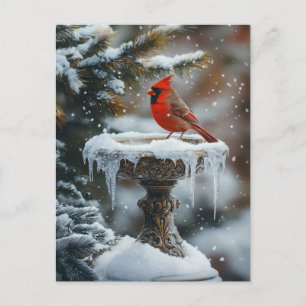 Carte Postale Oiseau cardinal rouge sur un Oiseau congelé Art